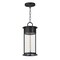 Maxim Lighting Windsor 1-Light Outdoor Pendant, Black Patina 30636CDBKP - alternate 1